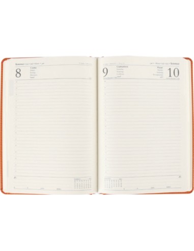 Eminönü Günlük Ajanda 17 x 24 cm