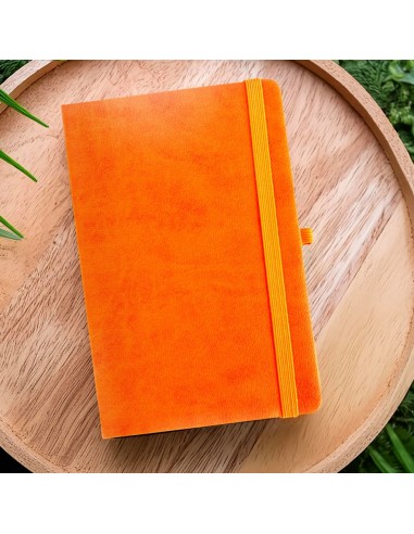 Topkapı Defter 13 x 21 cm