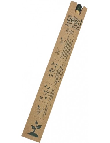 0522-80 Tohumlu Kurşun Kalem