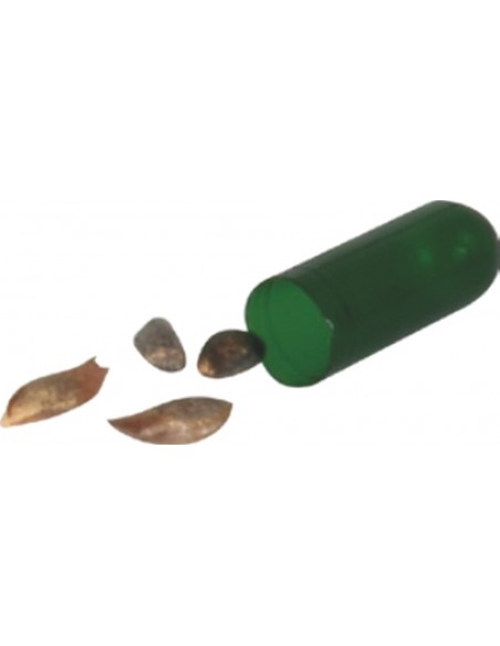 0522-80 Tohumlu Kurşun Kalem