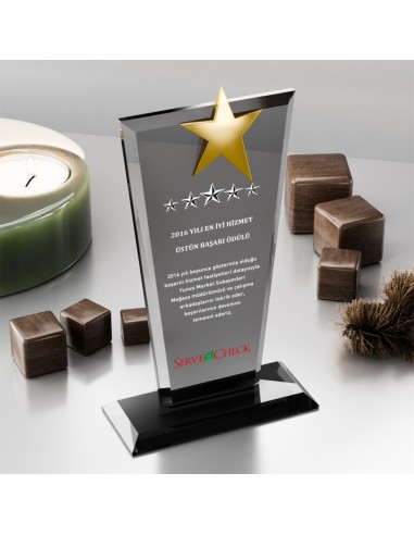 PB3005-FY Kristal Plaket