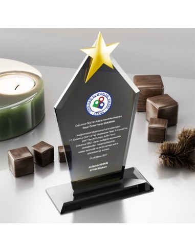 PB3006-FY Kristal Plaket