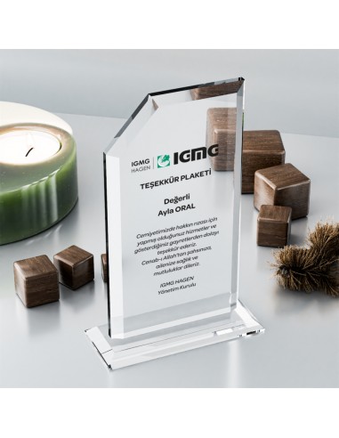 PB304 Kristal Plaket