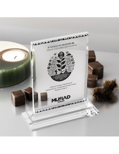 PB366 Kristal Plaket