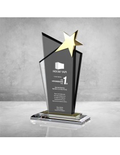 PB601 Kristal Plaket 2