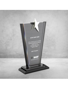 PB602 Kristal Plaket 2