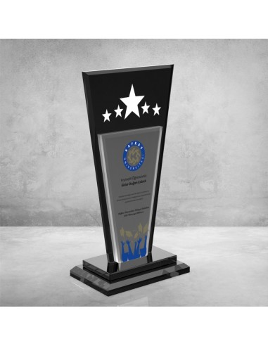 PB605 Kristal Plaket