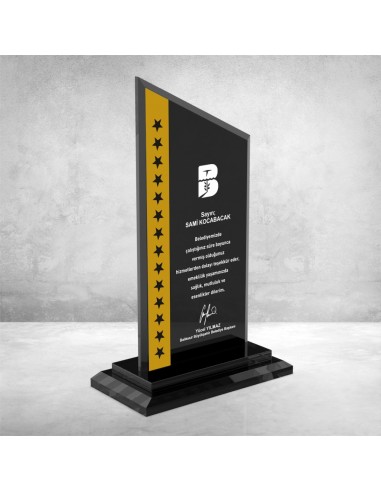 PB607 Kristal Plaket