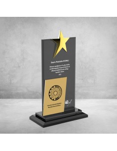 PB608 Kristal Plaket