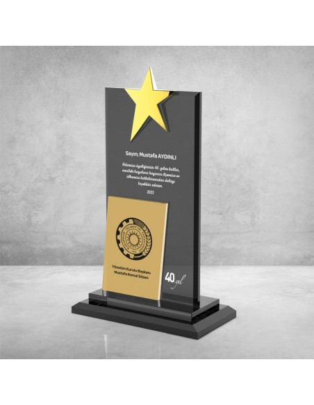 PB608 Kristal Plaket