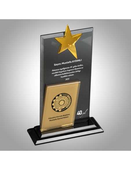 PB608 Kristal Plaket