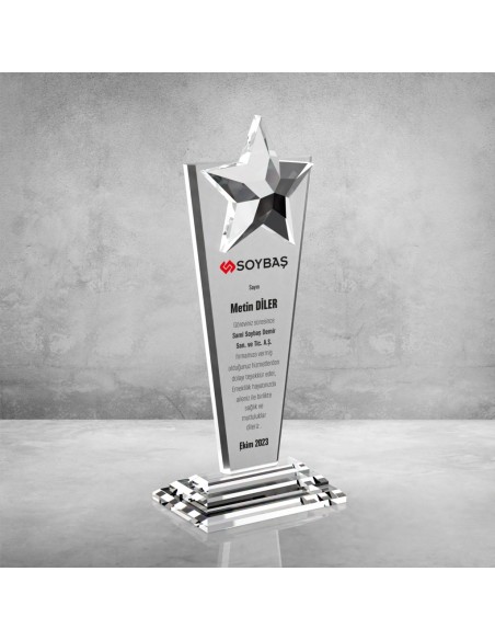 PB610 Kristal Plaket