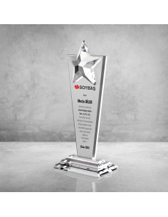 PB610 Kristal Plaket 2