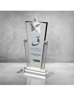 PB703 Kristal Plaket 2