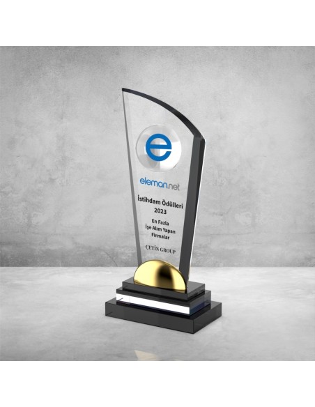 PB704 Kristal Plaket