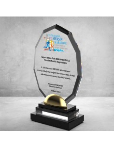 PB705 Kristal Plaket 2