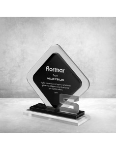 PB801-5 Kristal Plaket 2