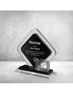 PB801-10 Kristal Plaket 2