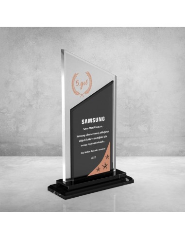 PB802 Bronz Kristal Plaket