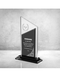 PB802 Gümüş Kristal Plaket 2