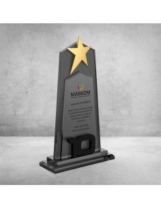 PB803-10 Kristal Plaket 2