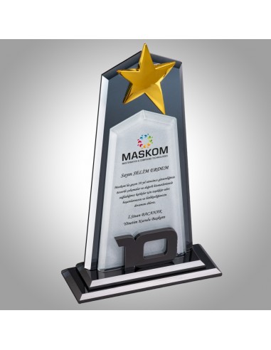 PB803-10 Kristal Plaket