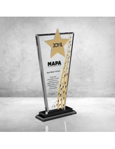 PB804-ALTIN Kristal Plaket