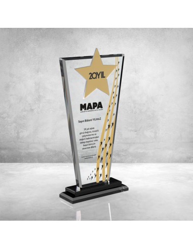 PB804-ALTIN Kristal Plaket