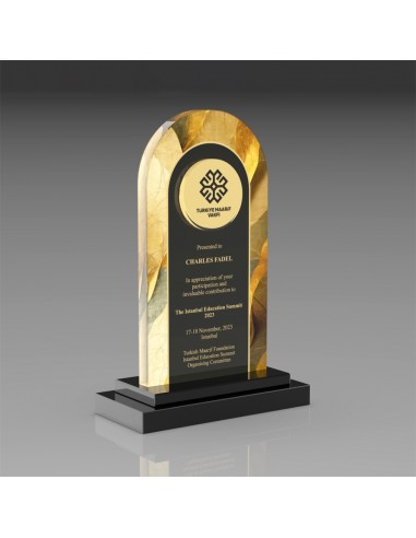 PB806 Kristal Plaket