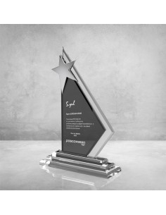 PB852 Kristal Plaket 2