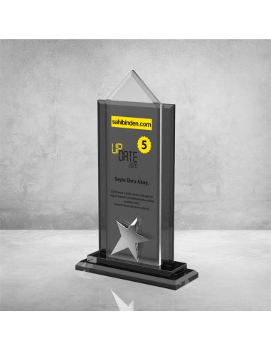 PB901 Kristal Plaket