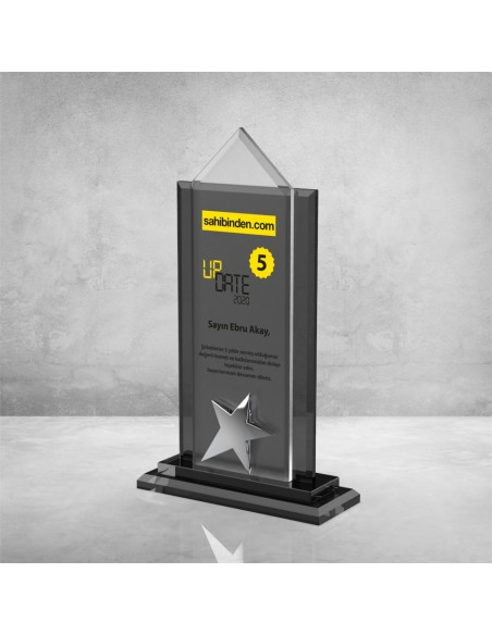 PB901 Kristal Plaket