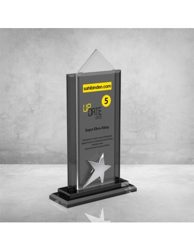 PB901 Kristal Plaket
