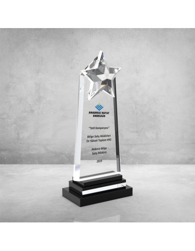 PB948 Kristal Plaket