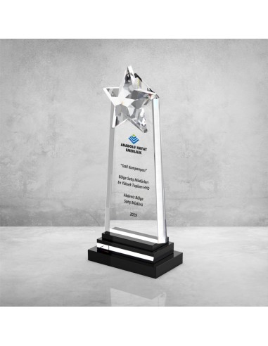 PB948 Kristal Plaket