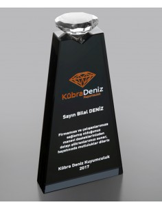 PB967 Kristal Plaket 2