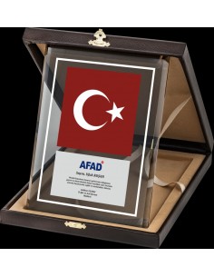PB2004 Altın Yaldız Kristal Plaket 2