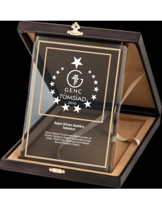 PB2006 Altın Yaldız Kristal Plaket 2