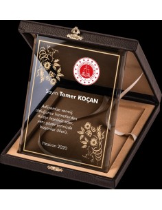 PB2012 Altın Yaldız Kristal Plaket 2