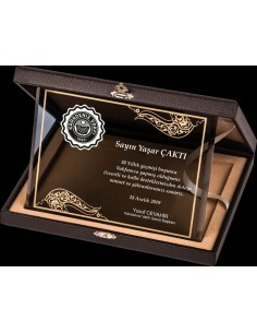 PB2101 Altın Yaldız Kristal Plaket 2