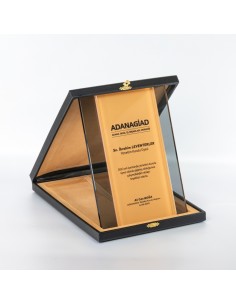 PB1203 18X24 Kristal Plaket 2