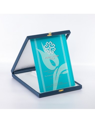 PB1206 18X24 Kristal Plaket