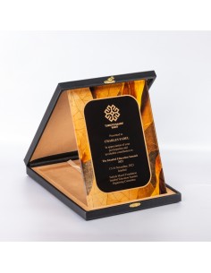 PB1207 18X24 Kristal Plaket 2