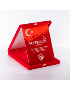 PB1209 18X24 Kristal Plaket 2