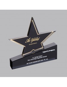 PB961 Kristal Plaket