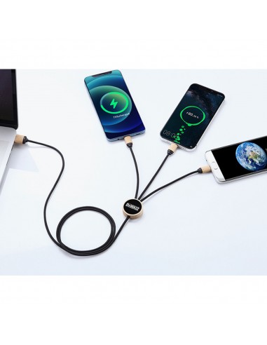 PR-33080 Bambu Çoklu Şarj Kablosu