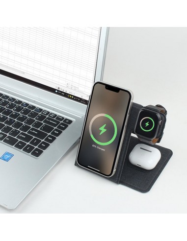 3810 Wireless Şarj İstasyonu