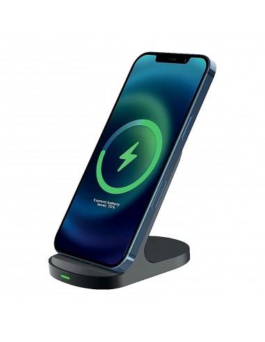 PWB-405 Kablosuz Şarj Telefon Standı