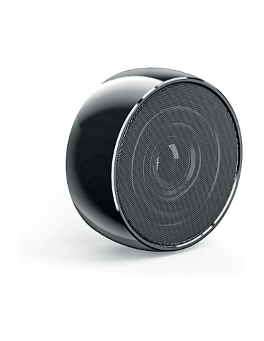 SPK-80 Speaker