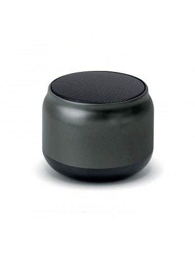 SPK-45 Speaker